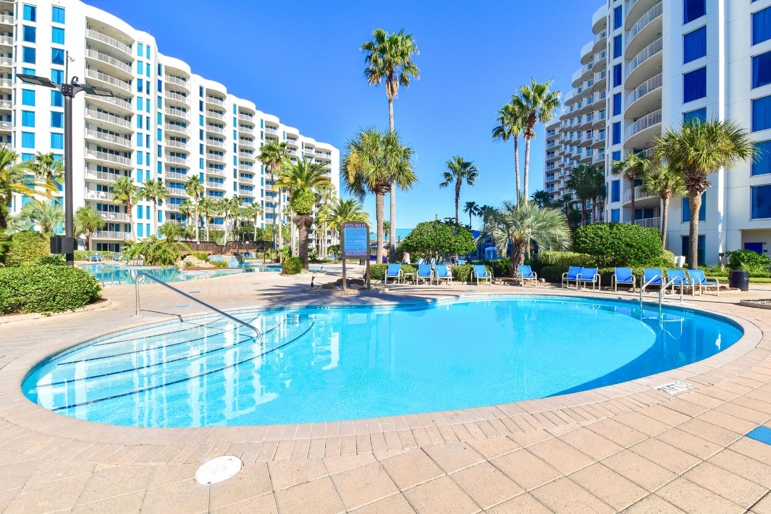 A swimming pool surrounded by palm trees and blue chairs, with a sign indicating no diving.