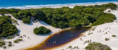 Casa, 5 habitaciones, acceso a la alberca, vista a la alberca | Playa | Playa en los alrededores y playa de arena blanca