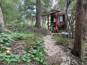 Una cabaña rústica en un bosque, con un camino de grava que la conduce.