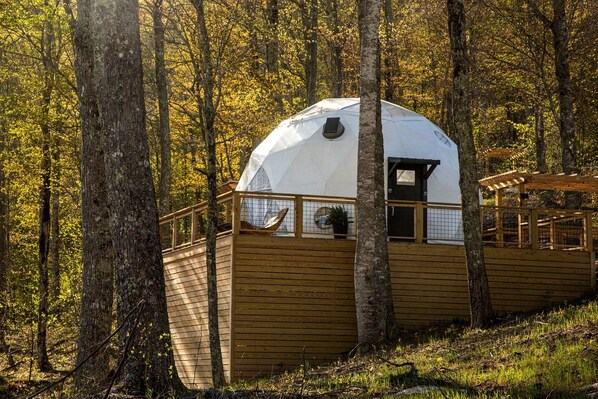Una cabaña con forma de cúpula, con terraza de madera, rodeada de árboles.