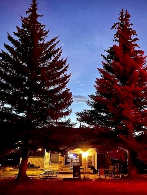 A building with a sign reading 'THE LOBES' at night, surrounded by tall trees.