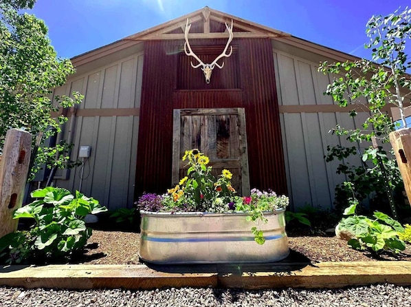 A building with a large metal skull decoration above the entrance, surrounded by a garden with various plants and flowers.
