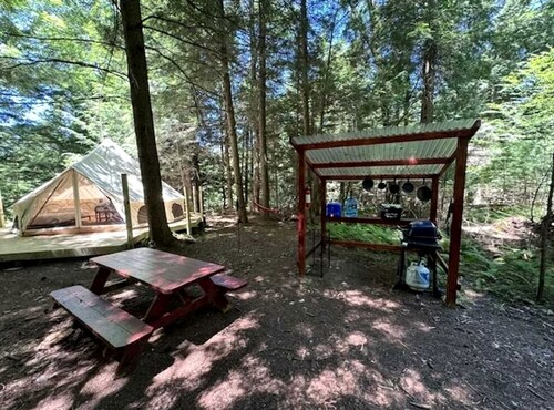 Spacious Group Glamping Site with Safari Tents, BBQ Gazebo, Fire Pits, Forest Trails in Broadalbin, New York