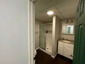 A bathroom with a glass shower enclosure, a sink, and a mirror.
