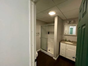 A bathroom with a glass shower enclosure, a sink, and a mirror.