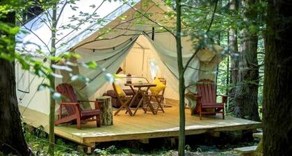 Spacious Group Glamping Site with Safari Tents, BBQ Gazebo, Fire Pits, Forest Trails in Broadalbin, New York