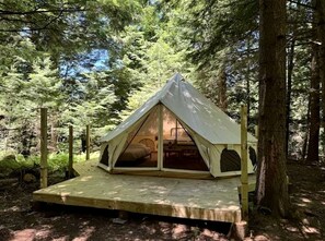 A tent with a wooden deck, surrounded by trees.