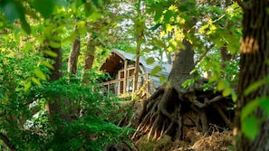 Uma cabana aconchegante situada entre árvores, com estrutura de madeira visível e ambiente natural.