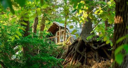 Magical Treehouse Retreat with Creek Views near Forestburg Forest in Forestburg, Texas