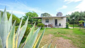 Uma casa pequena com um pátio, rodeada por vegetação e árvores.