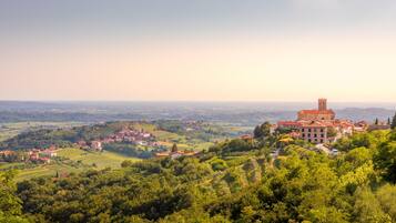 Panoramica di una città con un edificio importante e una torre, immersa nel verde e dolci colline.