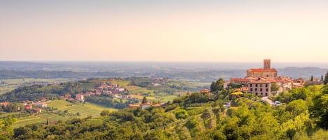 Ein weiter Panoramablick auf eine Stadt mit einem markanten Gebäude und einem Turm, umgeben von üppiger Vegetation und sanften Hügeln.