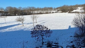 Un paysage enneigé, avec un ciel bleu dégagé, quelques arbres sans feuilles et un sentier de pierres qui traverse la neige.