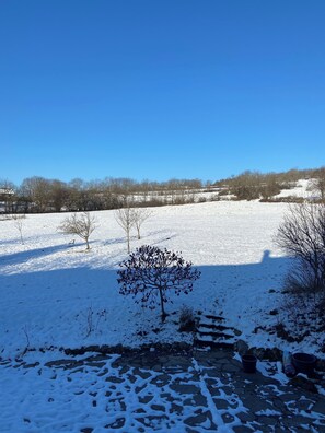 A snowy landscape with a clear blue sky, a few leafless trees, and a stone pathway leading through the snow.