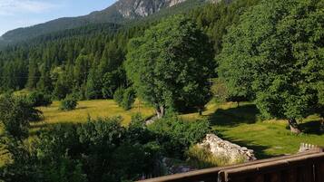 Un paysage montagneux, avec une forêt dense et un mur de pierre.