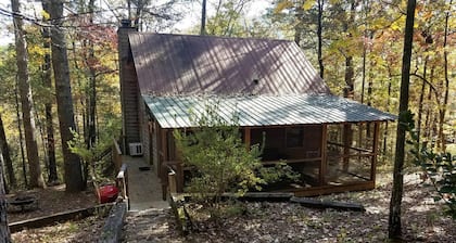 Rustic Cabin Retreat near Tallulah Falls, Perfect for an Escape to Georgia's Wilderness