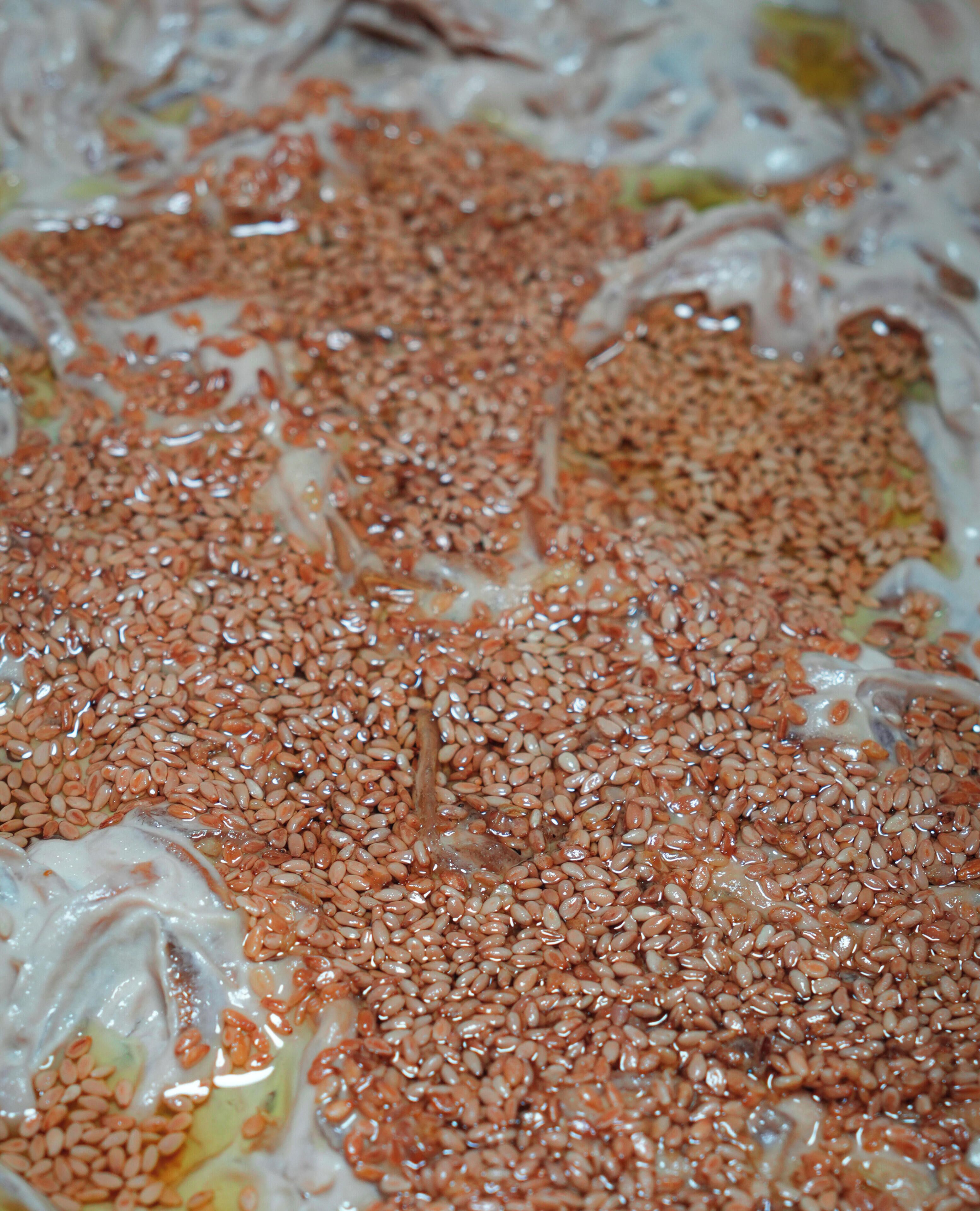 A close-up of a food item with a liquid base and a sprinkling of small, round, reddish-brown seeds.