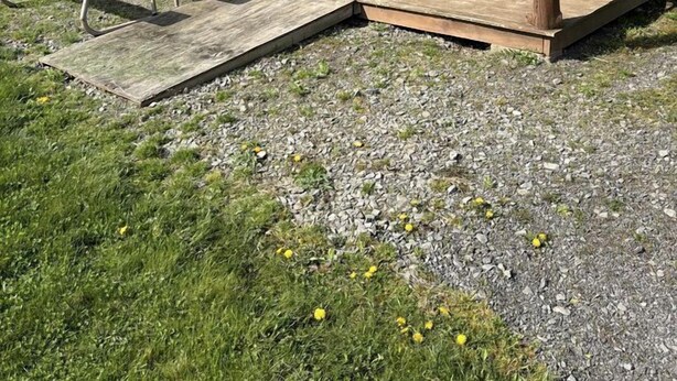 En stuga av trä med en grön dörr, ett picknickbord och två bänkar.