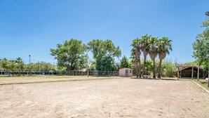 Espacio al aire libre descubierto con suelo de tierra, rodeado de árboles y un pequeño edificio.