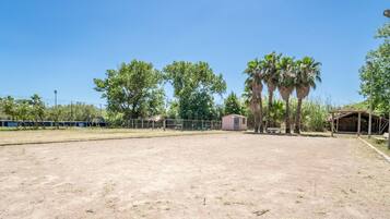 Property grounds