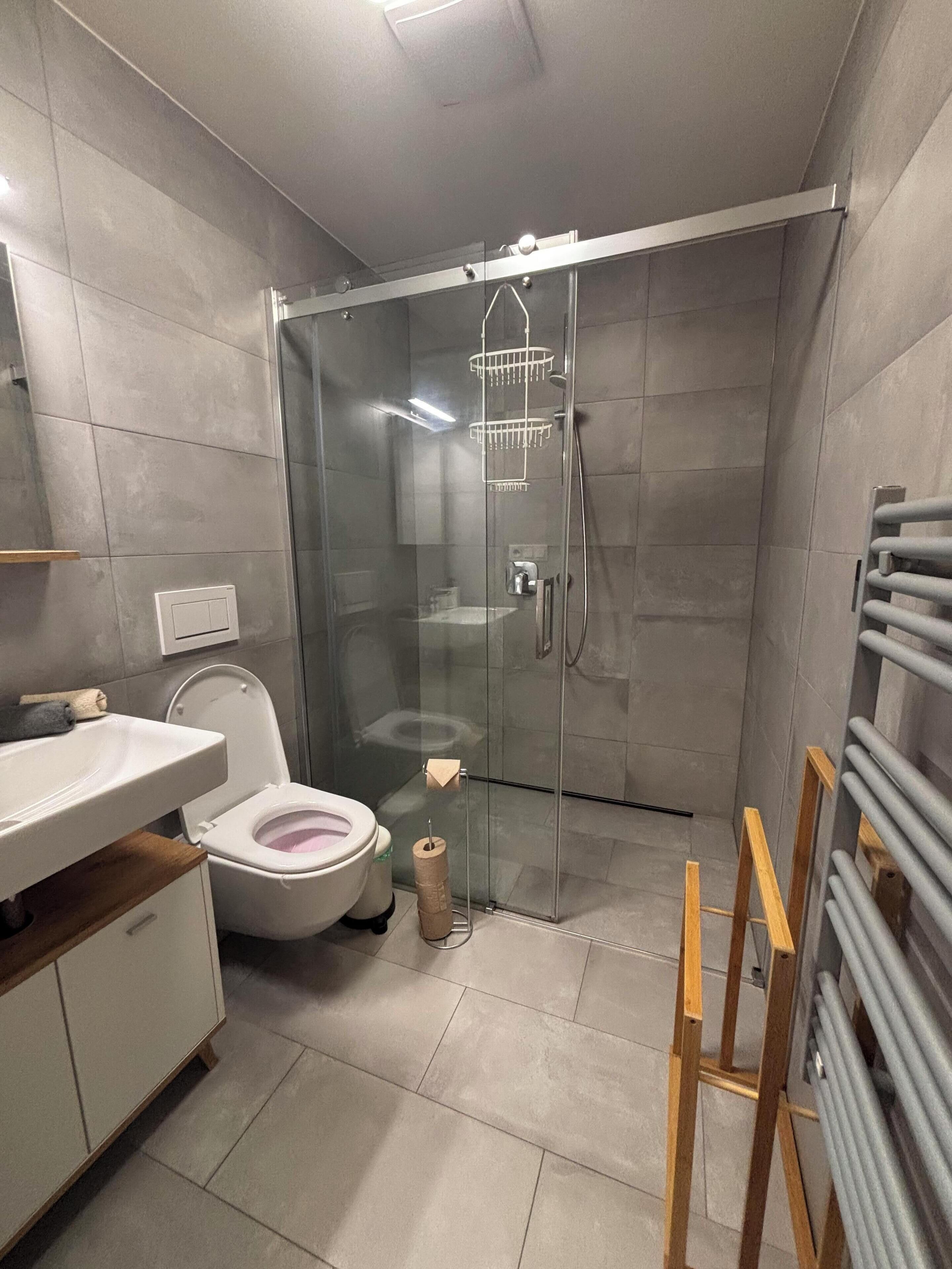 A modern bathroom with a glass-enclosed shower, a toilet, and a sink.