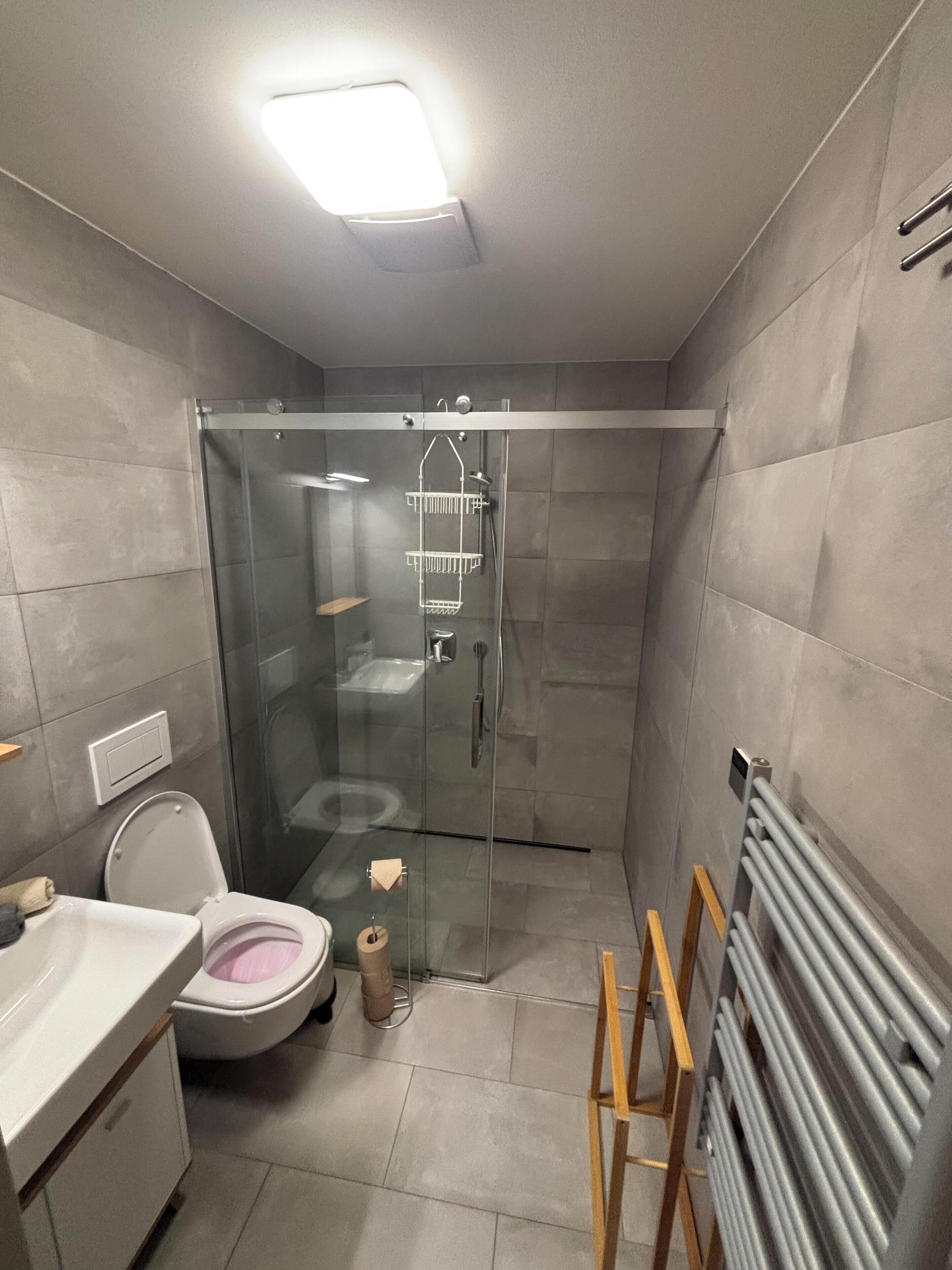 A modern bathroom with a glass-enclosed shower, a toilet, and a vanity with a sink.