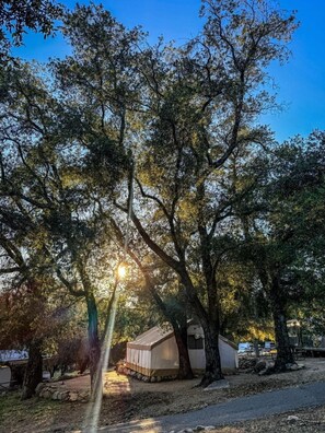 A campsite with tents and a small building, surrounded by trees.