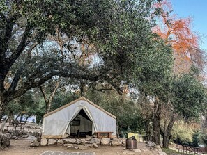 A tented accommodation with a view of surrounding trees and a picnic table nearby.