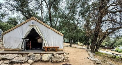 Peaceful Affordable Glamping Tent with Scenic Nature Views near San Diego in Pauma Valley, California