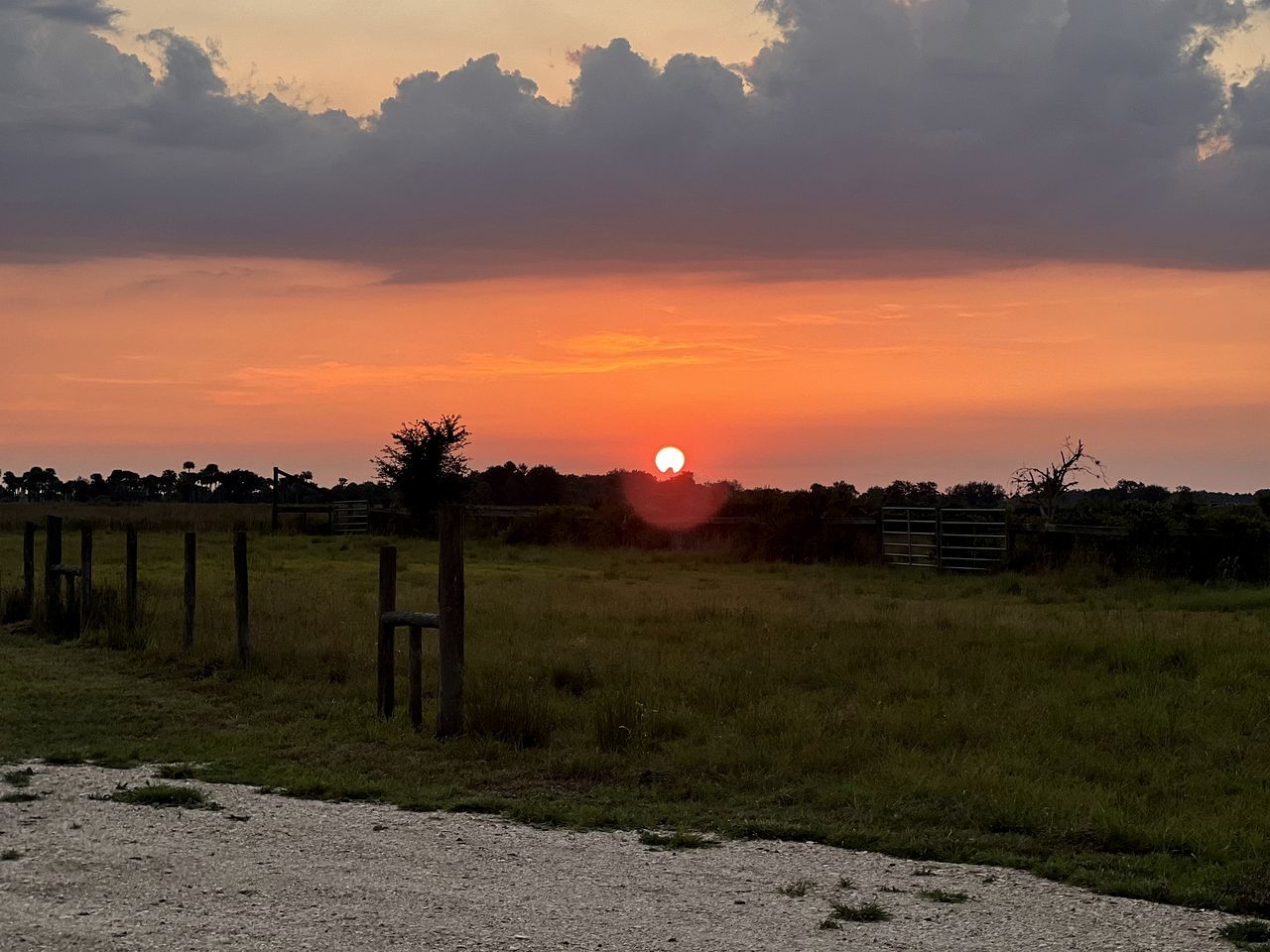 Een zonsondergang boven een grasveld met een hek en bomen in de verte.