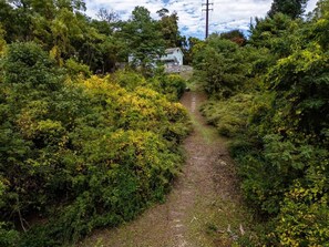 A narrow, unpaved path surrounded by dense greenery, leading to a house. - The Catskill | Three Retreats One Creekside Escape (Jefferson Heights)