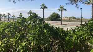 Una strada con palme e vegetazione sullo sfondo.