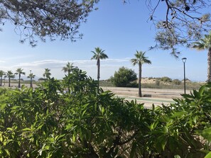 A view of a road with palm trees and greenery in the foreground. - "Maritim"@MARISOL: 50m to the beach, private pool, A/C, WiFi, dog beach (Riumar)