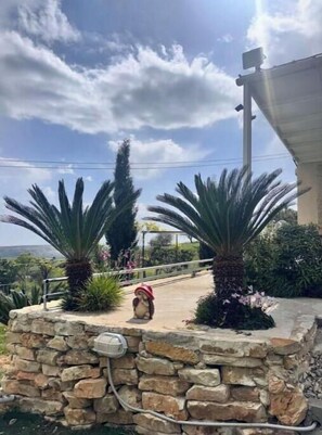 Property grounds - Sto Katifori in Lofou Village (Lofou)
