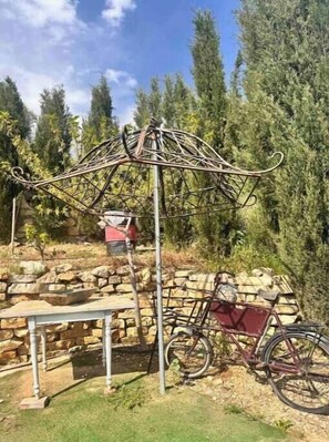 Property grounds - Sto Katifori in Lofou Village (Lofou)