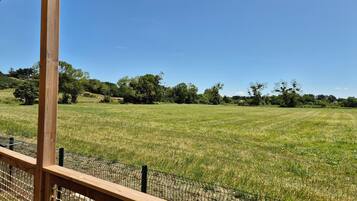 House | View from property