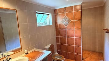 Standard Double or Twin Room | Bathroom | Shower, towels