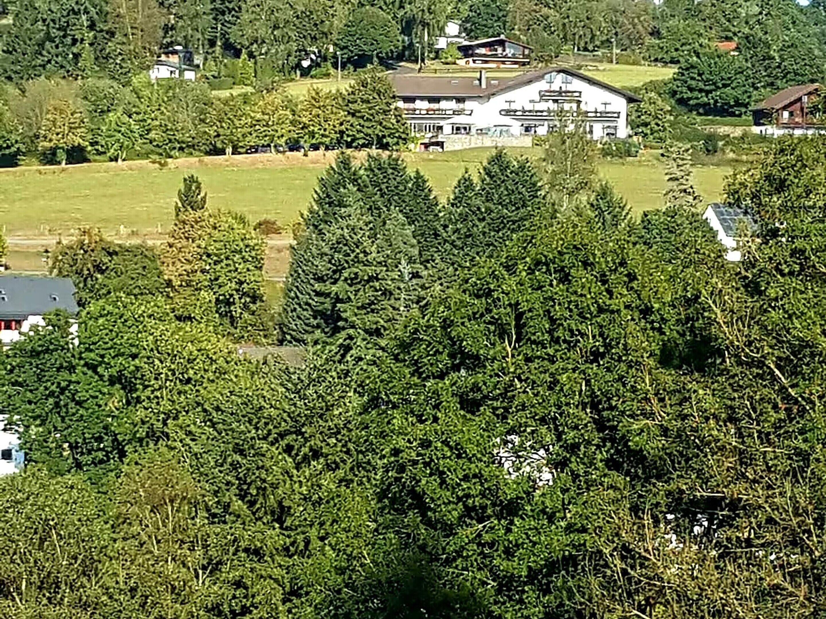 A large house with a sloped roof, surrounded by dense greenery and other houses in a rural setting.