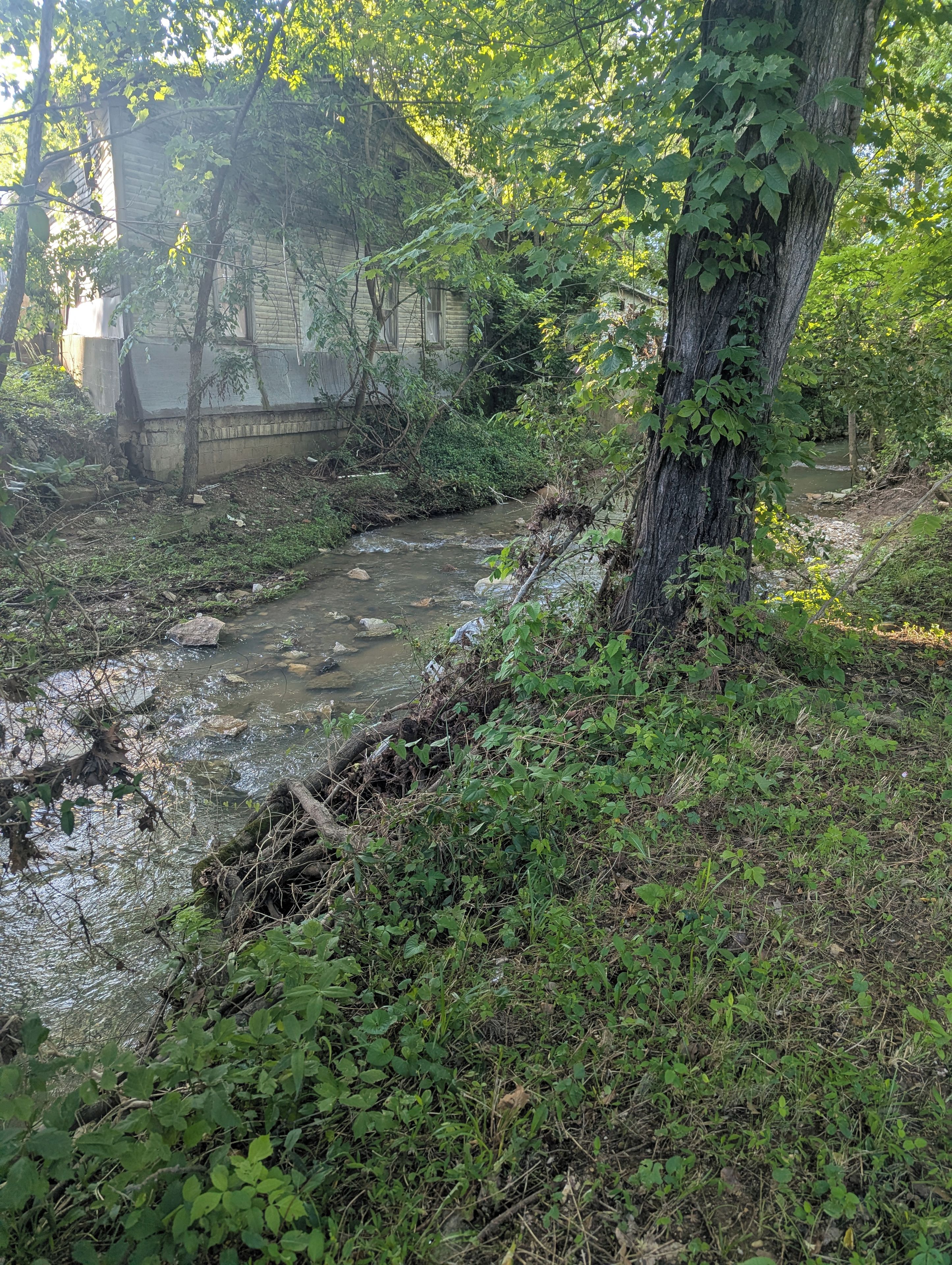 A natural outdoor area with a stream, trees, and a building partially obscured by foliage.