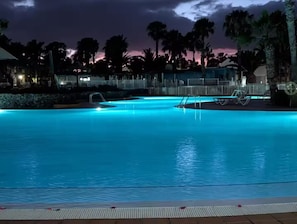 A swimming pool at night with clear water, surrounded by palm trees and a fence.