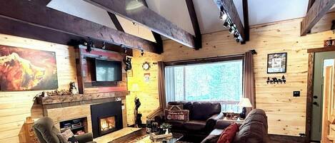Televisión, chimenea, videojuegos y estéreo