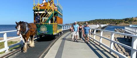 En spårvagn full med passagerare och en hästdragen vagn, ett vitt staket och en strand i bakgrunden.
