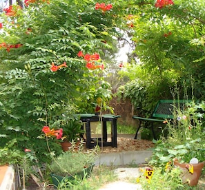 A garden with a variety of plants and flowers, a small table, and a bench.