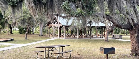 Un área de picnic con mesa y bancos, rodeada de árboles cubiertos de musgo colgante.