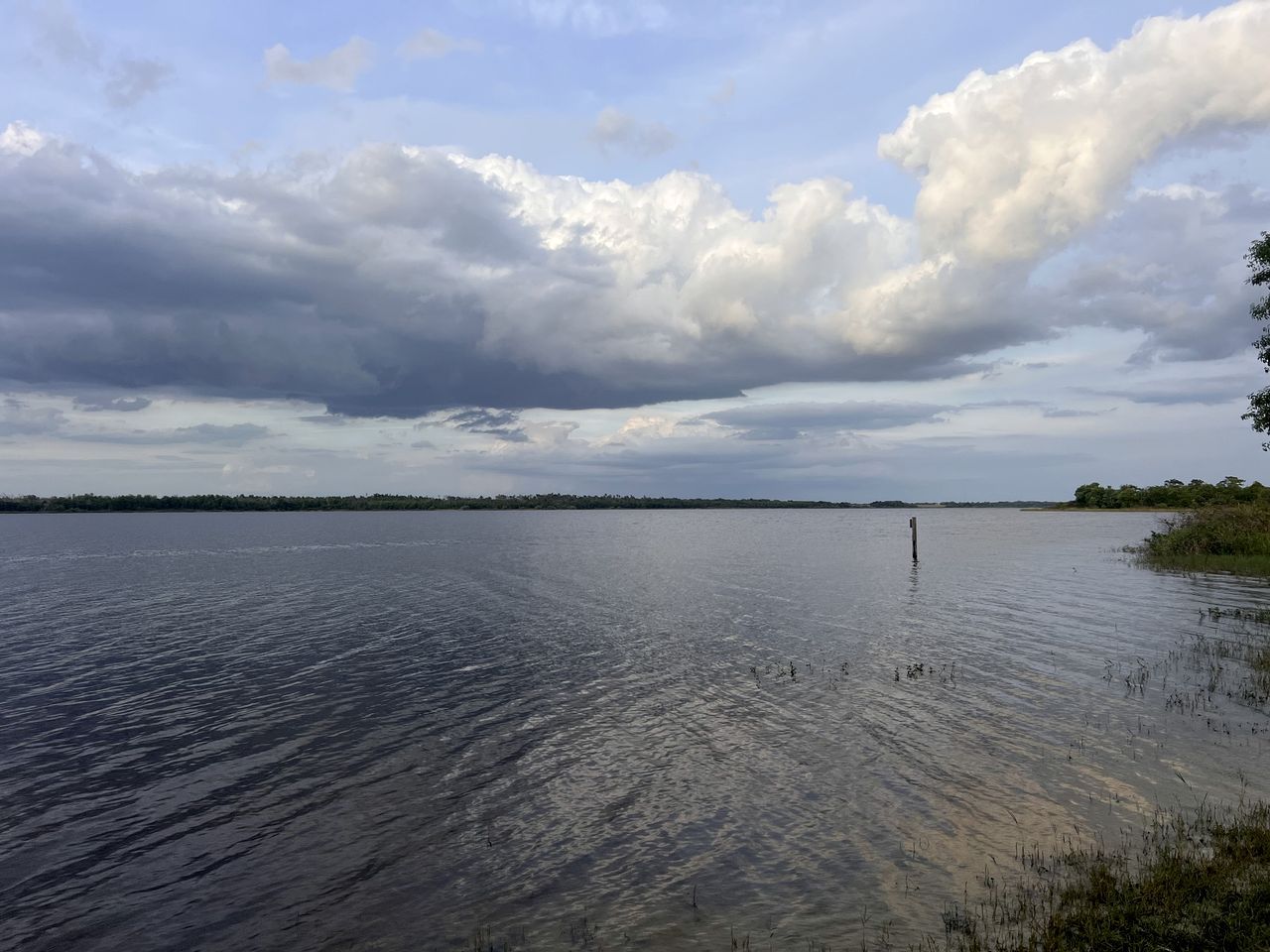 A calm body of water with a distant shoreline, overcast sky, and a solitary post in the water.