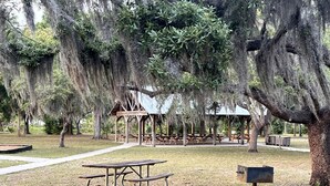 A picnic area with a table and benches, surrounded by trees with hanging moss. - Spacious Double Safari Tent with Private Fire Pit Near Anna Maria Island in Bradenton, Florida (Bradenton)