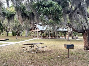 A picnic area with a table and benches, surrounded by trees with hanging moss.