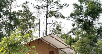 Spacious Double Safari Tent with Private Fire Pit Near Anna Maria Island in Bradenton, Florida