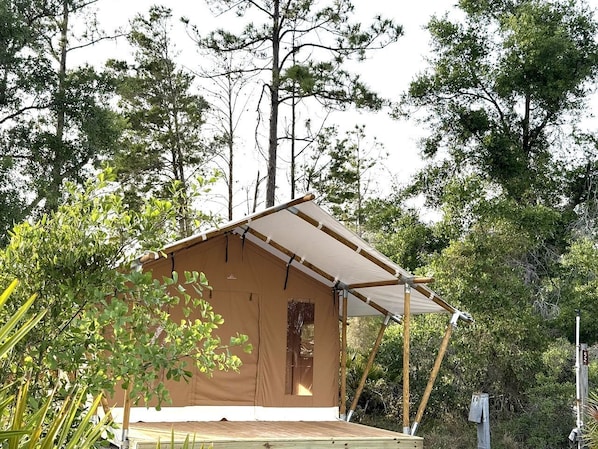 A small, single-story cabin with a pitched roof, surrounded by dense trees.