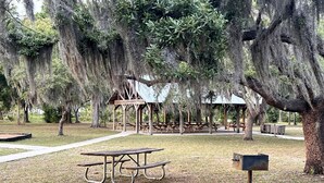 A picnic area with a table and benches, surrounded by trees with hanging moss.